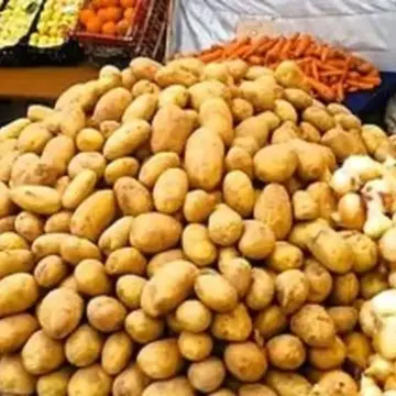 الطماطم بـ40 جنيها والبطاطس بـ10 جنيهات.. أسعار الخضروات اليوم بسوهاج